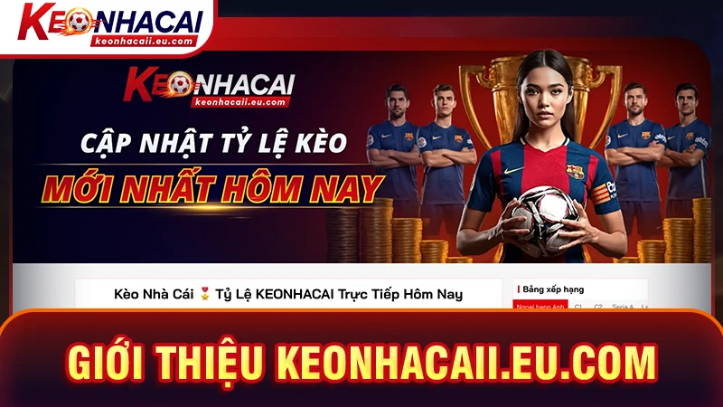 Giới thiệu dropshippro.io - Trang dũ liệu bóng đá toàn diện 2026